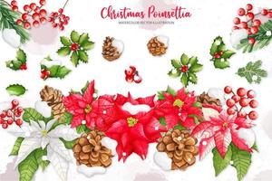 Natale stella di Natale, agrifoglio, pino impostare, digitale dipingere acquerello illustrazione vettore