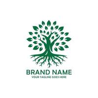 quercia albero logo design vettore