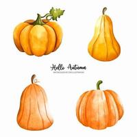 zucca autunno elementi, autunno o autunno stagione, ringraziamento acquerello vettore illustrazione