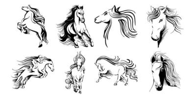 cavallo vettore impostato collezione grafico clipart design