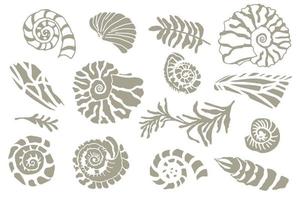 impostato di silhouette stampino conchiglie e impianti mano disegnato oceano conchiglia o conchiglia mollusco pettine mare subacqueo animale fossile nautico e acquario, marino tema. vettore illustrazione
