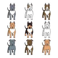 pitbull razza cane icona collezione vettore