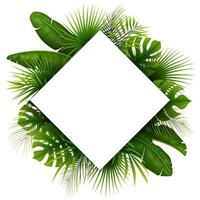 sfondo giungla tropicale con palme e foglie su sfondo bianco vettore