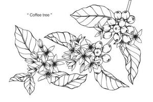 fiori e foglie botanici disegnati a mano del caffè vettore