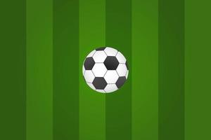 pallone da calcio calcio sull'erba verde vettore