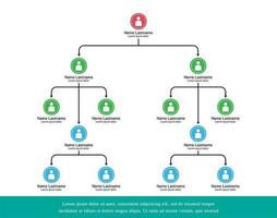 organigramma con icone di persone cerchio colorato vettore