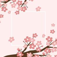 illustrazione di sfondo fiore di ciliegio vettore