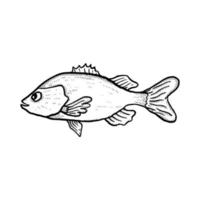 pesce illustrazione mano disegnato cartone animato schizzo Linea artistica Vintage ▾ stile vettore