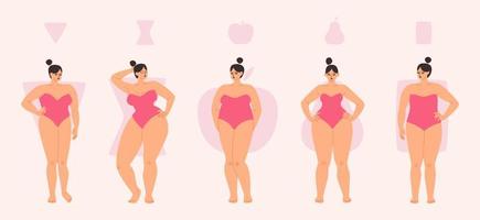 paffuto femmina corpo tipi siamo mela, triangolo, clessidra e rettangolo. diverso donne nel costumi da bagno In piedi nel un' riga. vettore illustrazione di paffuto ragazze nel rosa isolato.