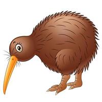 simpatico cartone animato di uccello kiwi vettore