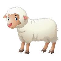 simpatico cartone animato di pecore vettore