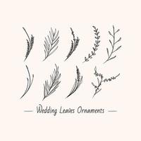 collezione impostato di mano disegnato minimalista floreale le foglie nozze decorazione design vettore illustrazione