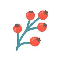 rosso frutti di bosco, vettore piatto illustrazione su bianca sfondo
