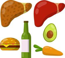 salutare e malato fegato. cause di malattia il interno organo. unto hamburger, alcool birra, carote, avocado. medico diagnosi. divertente cartone animato piatto illustrazione. impostato di dieta e bene nutrizione vettore