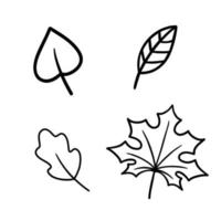 impostato di linea le foglie scarabocchi. collezione di diverso le foglie nel schema stile. vettore illustrazione isolato su bianca sfondo