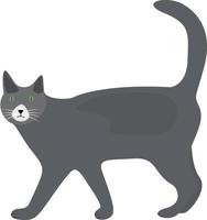 grigio gatto, illustrazione, vettore su un' bianca sfondo.