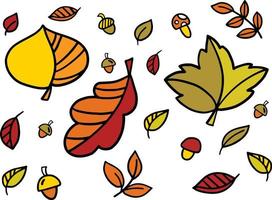 vettore impostato di autunno le foglie. vettore illustrazioni