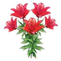 mazzo di rosso giglio fiori vettore illustrazione