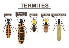 Illustrazione del fumetto di termiti vettore