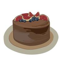 illustrazione di torta con cioccolato e frutta. vettore
