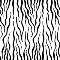 vettore senza soluzione di continuità modello con zebra pelle. nero e bianca zebra strisce.