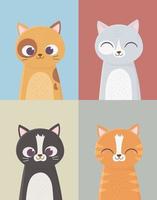 carta di quattro gatti vettore