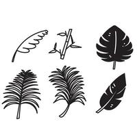 mano disegnato scarabocchio tropicale le foglie illustrazione vettore