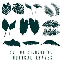 impostato di silhouette tropicale le foglie vettore