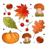 autunno verdura composizione con zucca, funghi, foglie, frutti di bosco, castagne. autunno ancora vita con il autunno raccogliere stagione. colore piatto vettore illustrazione isolato su un' bianca sfondo