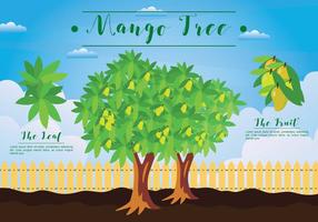 Illustrazione libera dell'albero di mango vettore