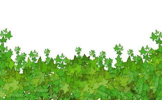 impostato di ornamentale verde pianta nel il modulo di un' siepe.realistico giardino arbusto, di stagione cespuglio, bosso, albero corona cespuglio fogliame.per decorare di un' parco, un' giardino o un' verde recinzione. vettore