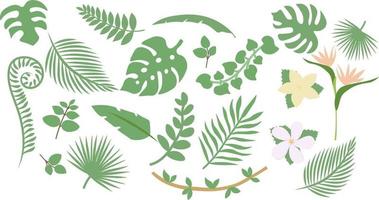 set di foglie tropicali vettore