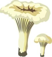 autunno funghi isolato vettore illustrazione su bianca sfondo