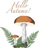 autunno funghi composizioni isolato vettore illustrazione su bianca sfondo