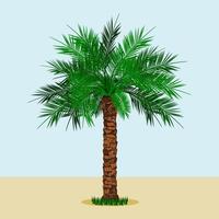 modificabile lungo tronco Data palma albero con erba a il parte inferiore su semplice sfondo vettore illustrazione per islamico o arabo natura e cultura anche salutare Alimenti relazionato design