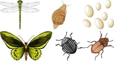 impostato di diverso tipi di insetti vettore