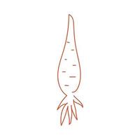 carota linea arte vettore illustrazione.continua linea carota design