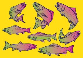 Illustrazione di vettore di pesce trota