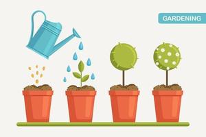 crescita di pianta nel pentola, a partire dal germoglio per fiore. piantare albero. piantina giardinaggio pianta. sequenza temporale vettore