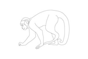linea arte vettore scimmia, illustrazione colorazione pagina di contento scimmia per bambini.