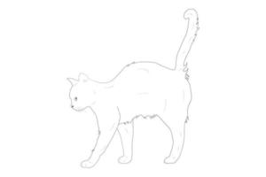 disegno della pagina di colorazione del gatto del gattino per i bambini pagina di coloritura animale dell'illustrazione di stile di vettore dei bambini