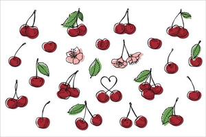 vettore ciliegia clipart. mano disegnato bacca icona. impostato di frutta illustrazione