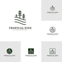 set di modello vettoriale di progettazione del logo dell'albero di pino, illustrazione di concetti del logo della foresta tropicale.