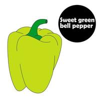 dolce verde campana Pepe. maturo verdura. paprica. fragrante Spezia vettore