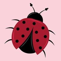 carino coccinella vettore illustrazione per grafico design e decorativo elemento