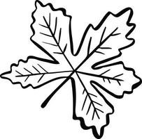 linea vettore autunno le foglie simbolo logo nero