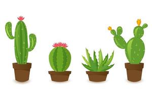 deserto bandiera impostare, verde cactus mondo. piatto cartone animato stile. vettore illustrazione isolato su bianca sfondo. design elementi