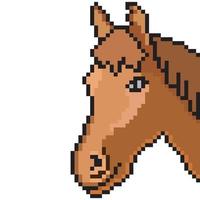 cavallo testa con pixel arte su bianca sfondo. vettore