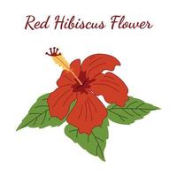 rosso ibisco fiore per logo vettore