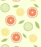 frutta modello. metà di Limone, arancia, pompelmo su un' modello per tessili, tessuti, sfondi, cucina pubblici. vettore